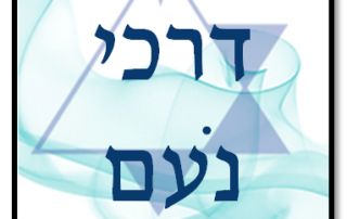 דרכי נעם